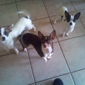 Meet your Posher, Hubert